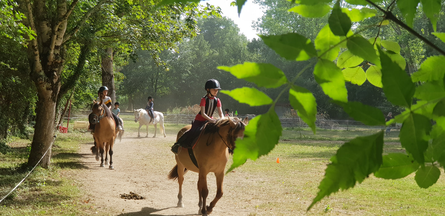 LE RANCH DU SAUT DU LOUP - Séjour Équitation (6-14 ans)