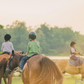 LE RANCH DU SAUT DU LOUP - Séjour Équitation (6-14 ans)